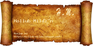 Hollub Milán névjegykártya