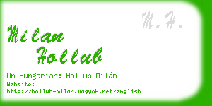 milan hollub business card